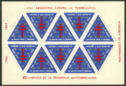 ARGENTINA: Argentine League Of Fight Against Tuberculosis: Charity Cinderella Of 50P. Of Year 1967, Complete Sheet Of 10 - Cinderellas
