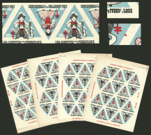 ARGENTINA: Argentine League Of Fight Against Tuberculosis: Charity Cinderella Of Year 1969, Complete Sheet Of 20 Labels, - Cinderellas