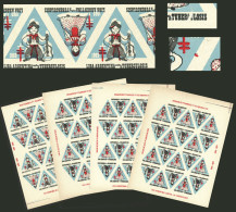 ARGENTINA: Argentine League Of Fight Against Tuberculosis: Charity Cinderella Of Year 1969, Complete Sheet Of 20 Labels, - Erinnophilie