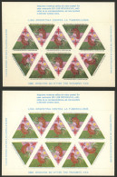 ARGENTINA: Argentine League Of Fight Against Tuberculosis: Year 1980 (rooster), 2 Complete Sheets Of 10 Cinderellas (dif - Cinderellas