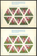 ARGENTINA: Argentine League Of Fight Against Tuberculosis: Year 1980 (rooster), 2 Complete Sheets Of 10 Cinderellas (dif - Erinofilia