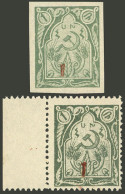 ARMENIA: Sc.361, 1922 1 On 1r. Perforated, INVERTED Red Overprint, With Sheet Margin + Sc.361a, Imperforate, With Normal - Armenia