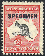 AUSTRALIA: Sc.129, 1931/6 Kangaroo And Map 2£, With Watermark "C Of A With Small Crown", Perf 11½x12, With SPECIMEN Over - Andere & Zonder Classificatie
