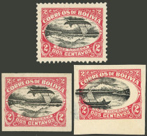 BOLIVIA: Sc.113c, 113d, Etc., 1916/7 2c. Titicaca Lake With CENTER INVERTED Variety, Another Imperforate Single With The - Bolivia