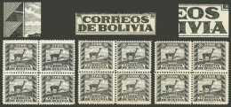 BOLIVIA: Yvert 225, 1939 10c. Vicuña, 3 Blocks Of 4 With Varieties: Third Triangle In The Left Frame Broken", "several A - Bolivien