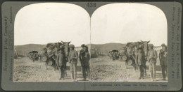 SPAIN: Old Stereo Card (circa 1900) With View Of "Andalucian Carts Coming Into Town, Ameria", Excellent Quality!" - Other & Unclassified