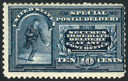 UNITED STATES: Sc.E4, 1894 10c. Blue, Unwatermarked, Mint, With Defects Visible On Back (crease And Thin), Good Front, C - Otros & Sin Clasificación