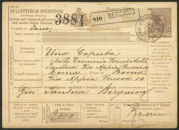 ITALY: Dispatch Note Of A Parcel Post (value 60c.) Sent From Bergamo To Roma On 20/DE/1890, Very Nice! - Unclassified