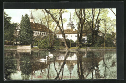 AK Teplitz Schönau / Teplice, Teichpartie Im Schlossgarten  - Repubblica Ceca