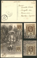 MAURITIUS: RARE DESTINATION: 29/NO/1932 Vacoas - Argentina, Postcard With View Of A Farm Worker, Franked With 4c., Unusu - Mauritius (...-1967)