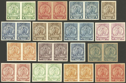 PARAGUAY: Sc.91 + Other Values, 1905/10 Lion, COLOR PROOFS Of Several Values And Different Colors, Most In Pairs (16 Dif - Paraguay