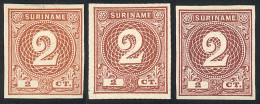 SURINAME: Sc.18, 1890 2c., 3 TRIAL COLOR PROOFS (different Shades), Imperforate, Excellent Quality, Rare! - Suriname