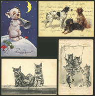 WORLDWIDE: DOGS, CATS: 24 Old Postcards Of Several Countries With Very Good Views, In General Of VF Quality. IMPORTANT:  - Hunde