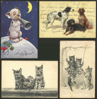 WORLDWIDE: DOGS, CATS: 24 Old Postcards Of Several Countries With Very Good Views, In General Of VF Quality. IMPORTANT:  - Perros