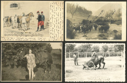 WORLDWIDE: HORSES, CATTLE: 11 Old Postcards Of Several Countries With Very Good Views, In General Of VF Quality. IMPORTA - Chevaux