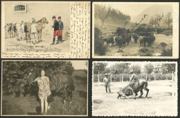 WORLDWIDE: HORSES, CATTLE: 11 Old Postcards Of Several Countries With Very Good Views, In General Of VF Quality. IMPORTA - Caballos