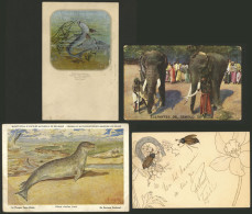 WORLDWIDE: ANIMALS: 30 Old Postcards Of Several Countries With Very Good Views, In General Of VF Quality. IMPORTANT: Ple - Other & Unclassified