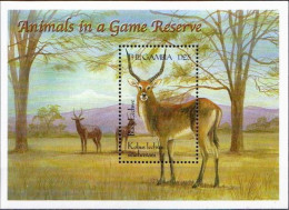 Gambia - 2000 - Mammals - Yv Bf 438 - Other & Unclassified