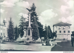 P427 Cartolina Gonzaga Monumento Ai Caduti Provincia Di Mantova - Mantova