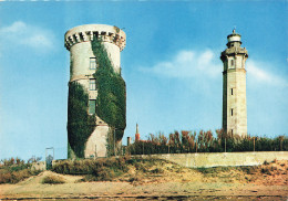 17 L ILE DE RE PHARE DES BALEINES  - Ile De Ré