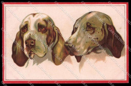 Illustratori Artist Signed Norfini Bracco Dog Serie 712-1 Pc ZG6039 - Andere & Zonder Classificatie