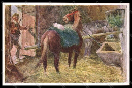 Artist Signed Ludwig Koch Horse Pferd Cat BKWI Serie 660-5 Postcard VK6767 - Autres & Non Classés