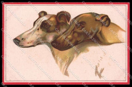 Illustratori Artist Signed Norfini Greyhound Dog Serie 712-5 Pc ZG6043 - Sonstige & Ohne Zuordnung