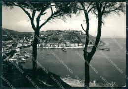 Livorno Isola D'Elba Porto Azzurro PIEGHE FG Foto Cartolina KB5557 - Livorno