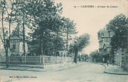 14 CABOURG L AVENUE DU CASINO - Cabourg