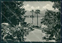 Verbania Stresa Lago Maggiore FG Foto Cartolina KB5561 - Verbania