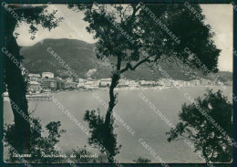 Savona Varazze PIEGA FG Foto Cartolina KB5565 - Savona