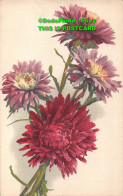 R432631 Flowers. Photochromie. Serie 572. No. 1436. The Alpha Publishing - Monde