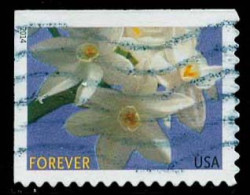 Etats-Unis / United States (Scott No.4864 - Fleur Hivernale /Winter Flower) (o) P2 - Used Stamps