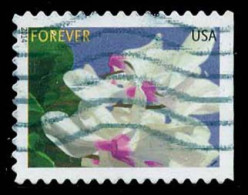 Etats-Unis / United States (Scott No.4863 - Fleur Hivernale /Winter Flower) (o) P3 - Usati