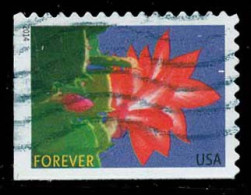 Etats-Unis / United States (Scott No.4865 - Fleur Hivernale /Winter Flower) (o) P2 - Usati