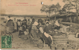 51 - LA CHAMPAGNE - TRAVAIL DE LA VIGNE - LES VENDANGES - EPLUCHAGE - Circulé En 1908 - Champagne - Ardenne