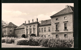AK Rheinsberg /Mark, Schloss, Jetzt Sanatorium Helmut Lehmann  - Rheinsberg