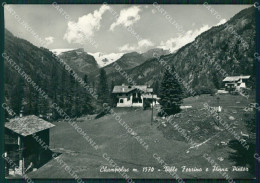 Aosta Champoluc Foto FG Cartolina ZK5307 - Aosta