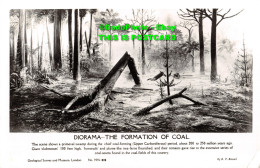 R433638 Diorama. The Formation Of Coal. Geological Survey And Museum. London. No - Autres & Non Classés