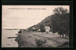 CPA Champtoceaux, Bords De Loire Au Bas Du Coteau  - Champtoceaux