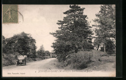 CPA Juigné-sur-Loire, Les Garennes De Juigné  - Autres & Non Classés