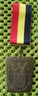 Medaile  :  Avondvierdaagse Deurne 1994 ( N.B )  -  Original Foto  !!  Medallion  Dutch - Otros & Sin Clasificación
