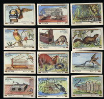 Meurisse - Ca 1930 - 11 - Pièges, Animal Traps - Full Serie - Sonstige & Ohne Zuordnung