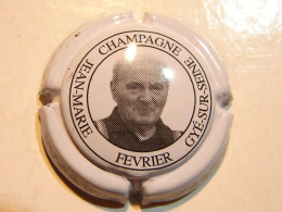 Cap. 40.  Champagne Jean-Marie Février. Gyé-sur-Deine - Otros & Sin Clasificación