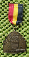 Medaile  :  Avondvierdaagse Deurne . ( N.B )  -  Original Foto  !!  Medallion  Dutch - Otros & Sin Clasificación