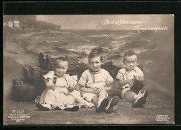 AK Kronprinz Wilhelm Von Preussen Mit Seinen Brüdern  - Koninklijke Families