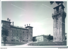 P336 Bozza Fotografica Revere Provincia Di Mantova - Mantova