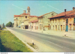 P522 Cartolina Romanore Via Cisa Provincia Di Mantova - Mantova