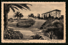 Cartolina Ospedaletti, Grande Albergo Palazzo Miramare  - Other & Unclassified