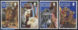Cayman Islands 1995 Christmas 4v, Mint NH, Nature - Religion - Animals (others & Mixed) - Camels - Cattle - Horses - C.. - Natale